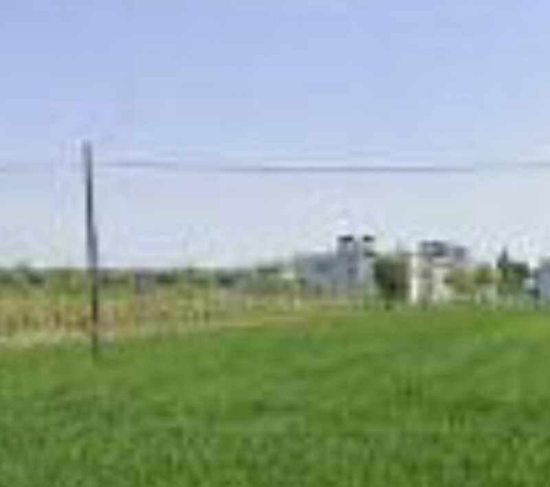 Immagine di TERRENO VIA ZAMPESCHI – FORLÌ