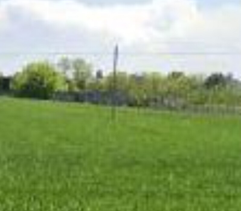 Immagine di TERRENO VIA ZAMPESCHI – FORLÌ