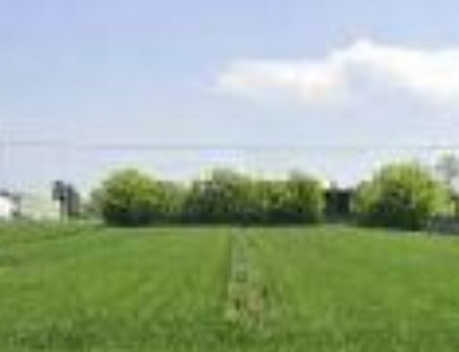 Immagine di TERRENO VIA ZAMPESCHI – FORLÌ