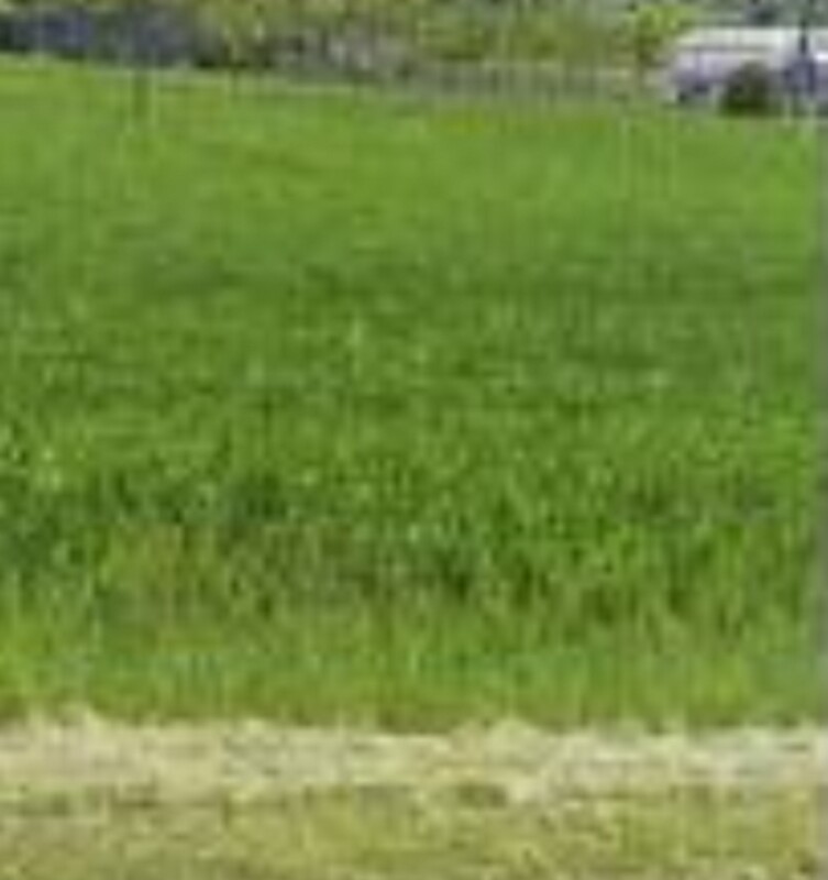 Immagine di TERRENO VIA ZAMPESCHI – FORLÌ