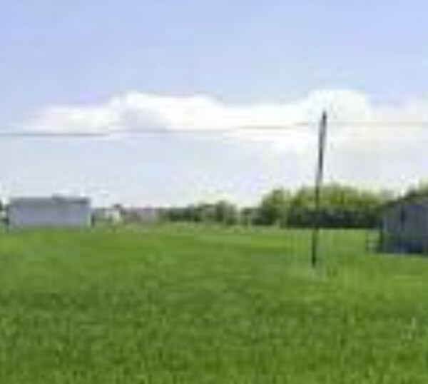 TERRENO VIA ZAMPESCHI - FORLÌ — foto 9