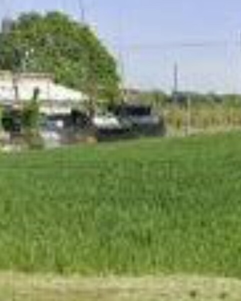 TERRENO VIA ZAMPESCHI - FORLÌ — foto 7