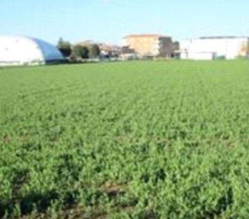 Immagine di TERRENO FRAZIONE MAROTTA – VIALE EUROPA – MONDOLFO
