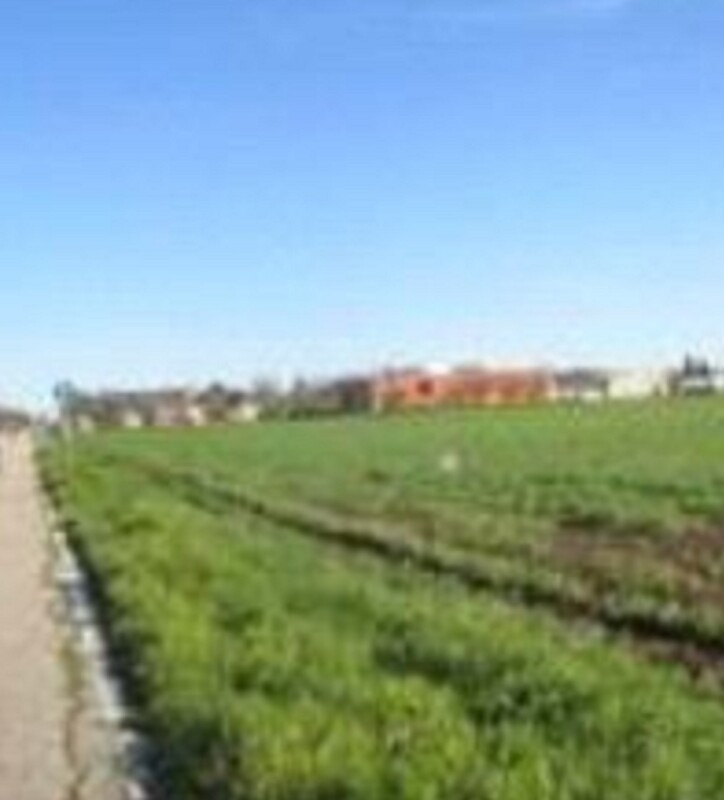 Immagine di TERRENO FRAZIONE MAROTTA – VIALE EUROPA – MONDOLFO