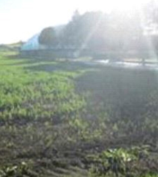 Immagine di TERRENO FRAZIONE MAROTTA – VIALE EUROPA – MONDOLFO