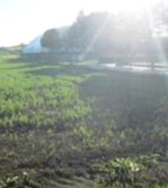 TERRENO FRAZIONE MAROTTA - VIALE EUROPA - MONDOLFO — foto 4