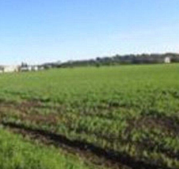 TERRENO FRAZIONE MAROTTA - VIALE EUROPA - MONDOLFO — foto 6