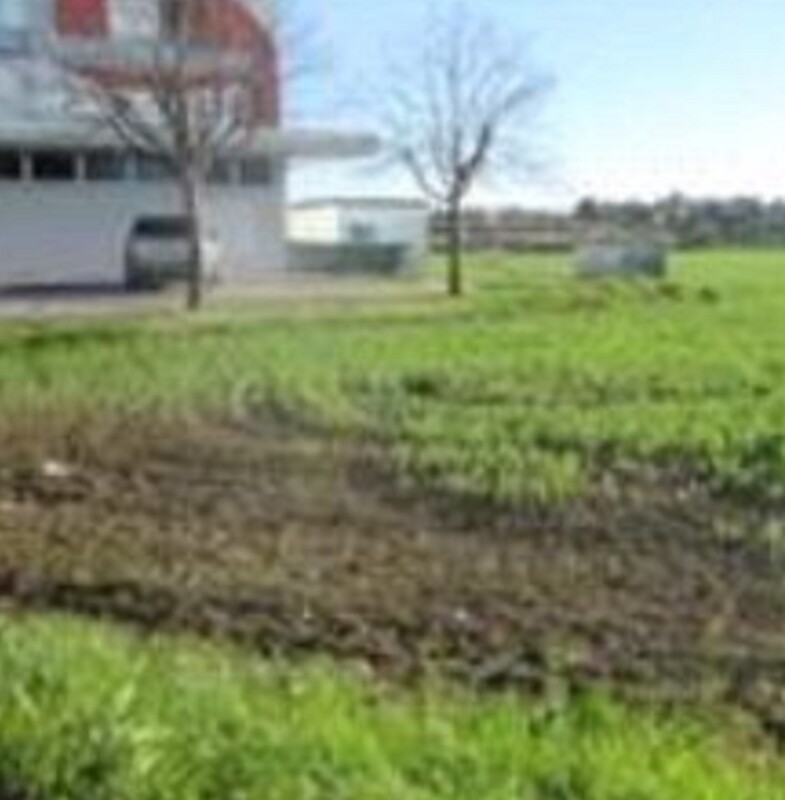 Immagine di TERRENO FRAZIONE MAROTTA – VIALE EUROPA – MONDOLFO