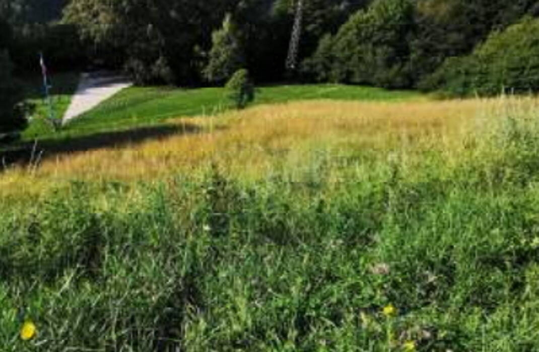 Immagine di COMPLESSOIMMOBILIARE LOCALITA’ STREVA VALLARSA (TN)