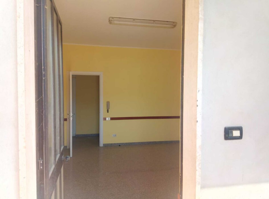 Immagine di STABILE, C.DA COLI MAMPIOPPO, SCAFA, PE