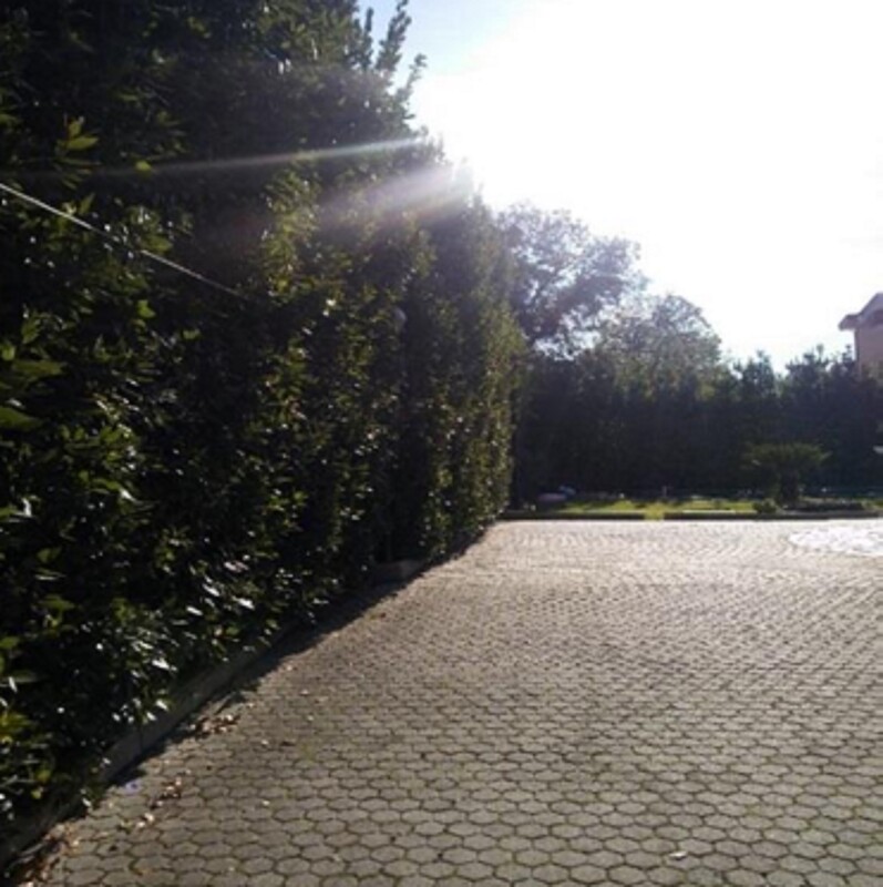 Immagine di APPARTAMENTO CONTRADA PUGLIANO – PATERNO CALABRO