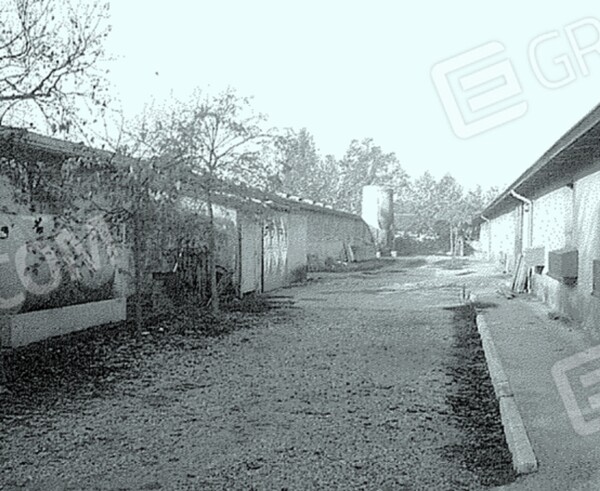 CAPANNONE / IMMOBILI INDUSTRIALI CALVISANO - CALVISANO — foto 5