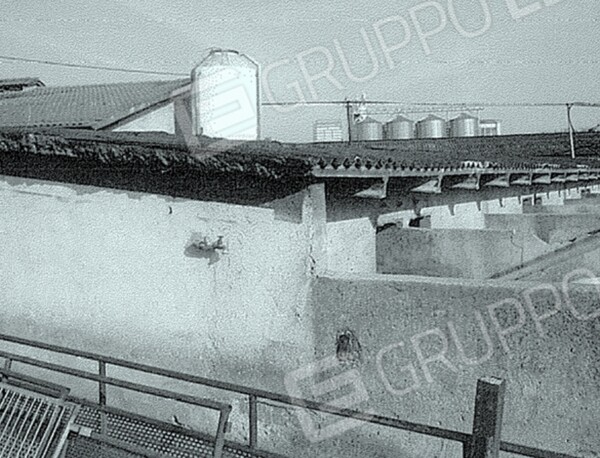 CAPANNONE / IMMOBILI INDUSTRIALI CALVISANO - CALVISANO — foto 8