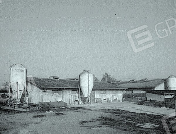CAPANNONE / IMMOBILI INDUSTRIALI CALVISANO - CALVISANO — foto 7