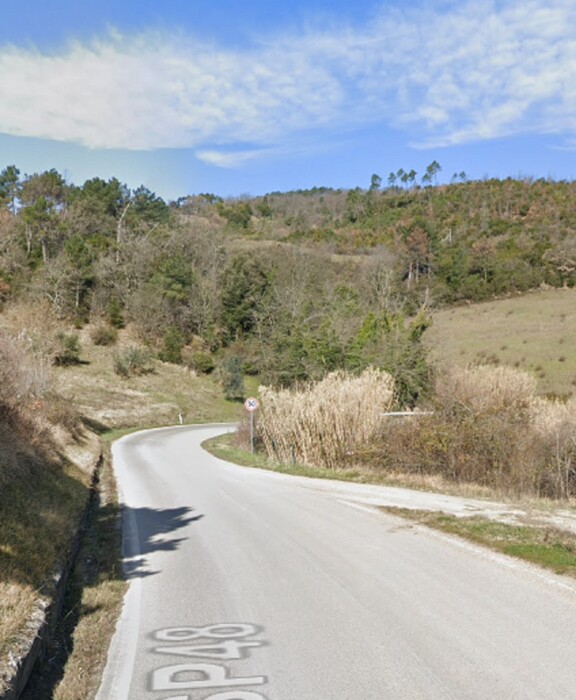 Immagine di PODERE S.P.PER MIEMO, CHIANNI (PI)