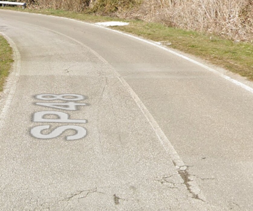 Immagine di PODERE S.P.PER MIEMO, CHIANNI (PI)
