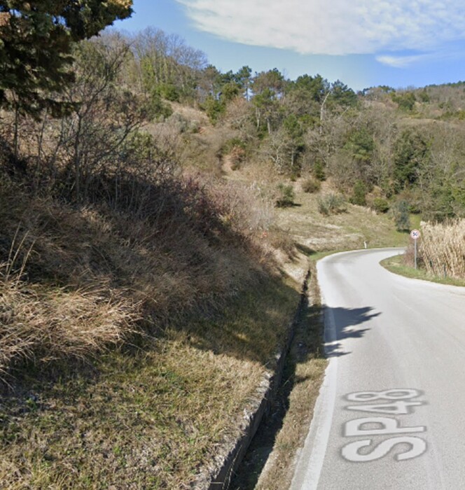 Immagine di PODERE S.P.PER MIEMO, CHIANNI (PI)