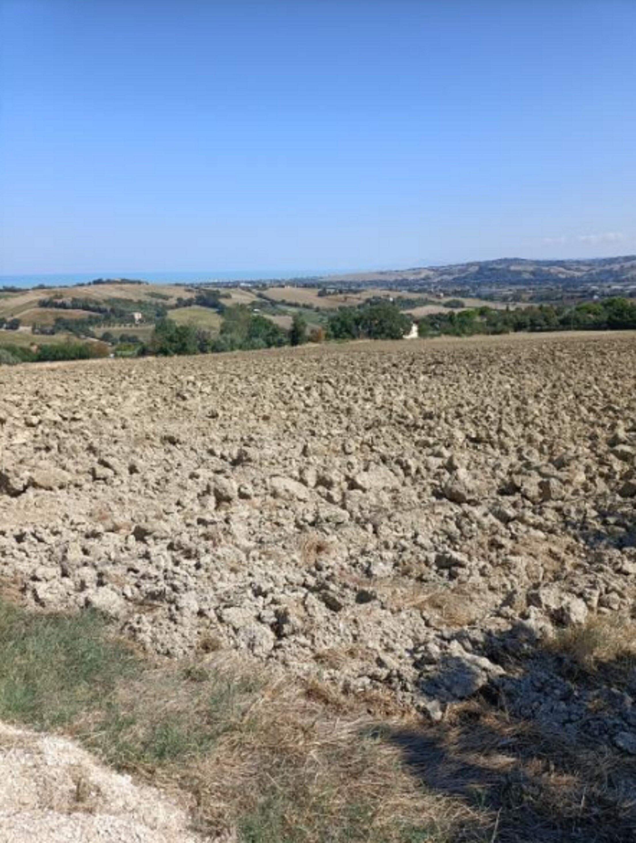 TERRENO VIA BUONA CESTA MAGGIORE, MONDOLFO (PU) — foto 2