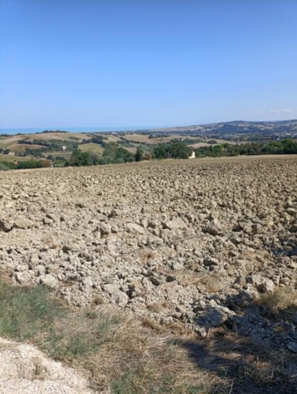 Immagine di TERRENO VIA BUONA CESTA MAGGIORE, MONDOLFO (PU)