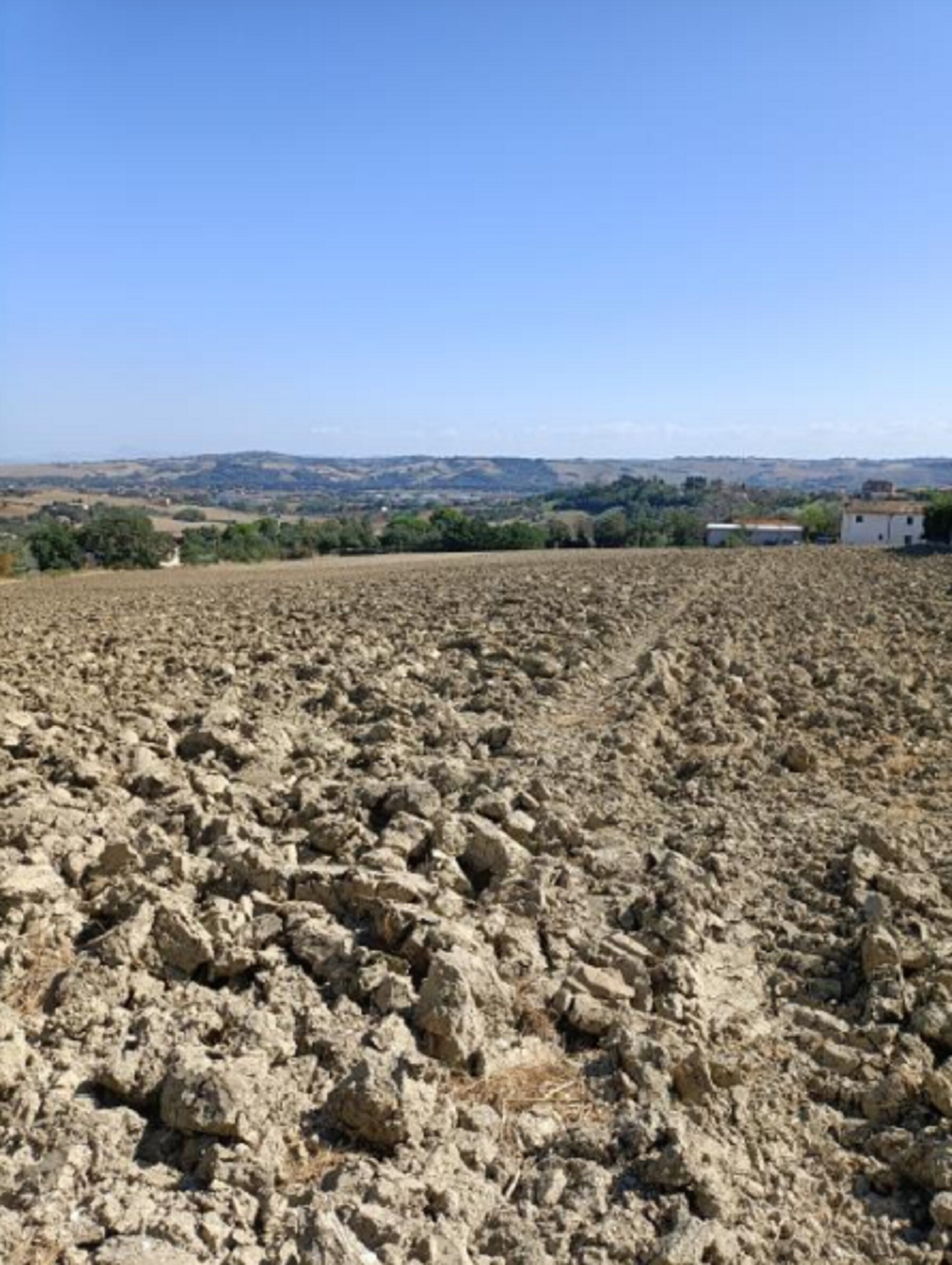 TERRENO VIA BUONA CESTA MAGGIORE, MONDOLFO (PU) — foto 4