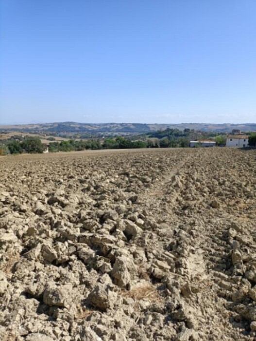 Immagine di TERRENO VIA BUONA CESTA MAGGIORE, MONDOLFO (PU)