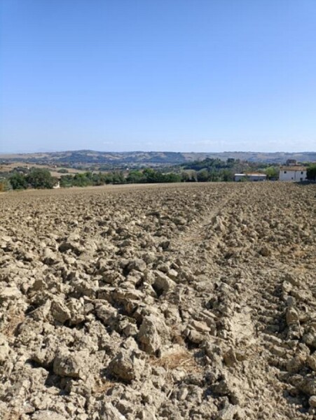 TERRENO VIA BUONA CESTA MAGGIORE, MONDOLFO (PU) — foto 4