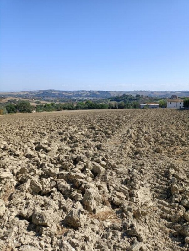 Immagine di TERRENO VIA BUONA CESTA MAGGIORE, MONDOLFO (PU)