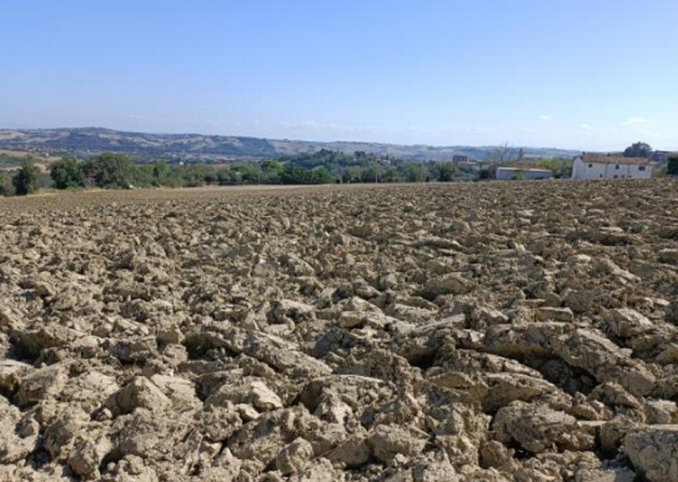 Immagine di TERRENO VIA BUONA CESTA MAGGIORE, MONDOLFO (PU)