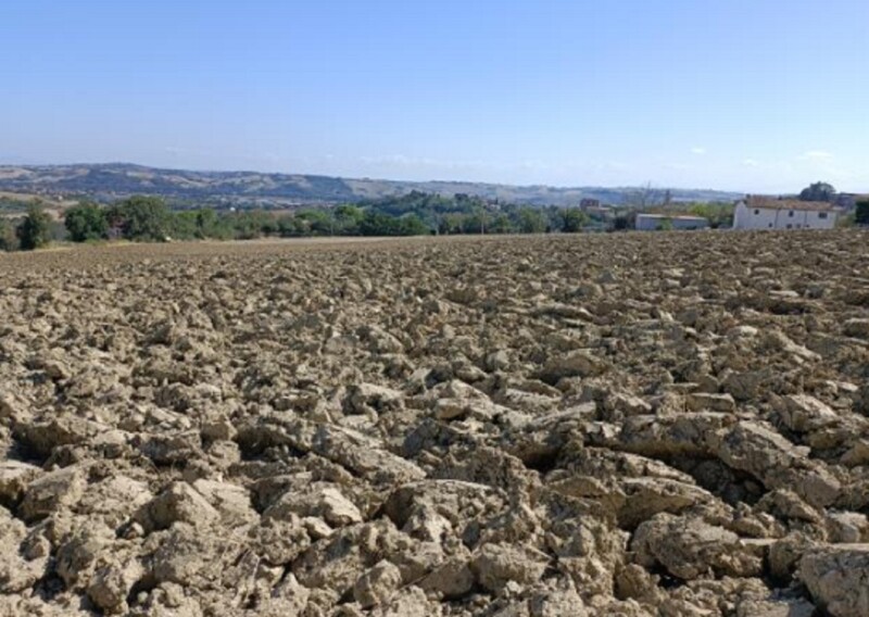 Immagine di TERRENO VIA BUONA CESTA MAGGIORE, MONDOLFO (PU)