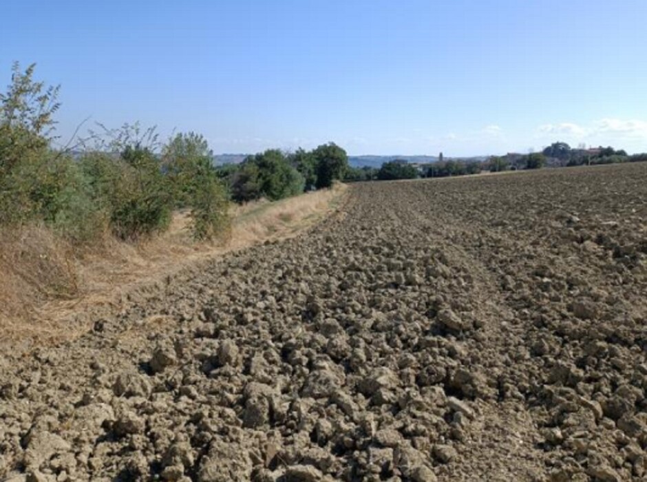 Immagine di TERRENO VIA BUONA CESTA MAGGIORE, MONDOLFO (PU)