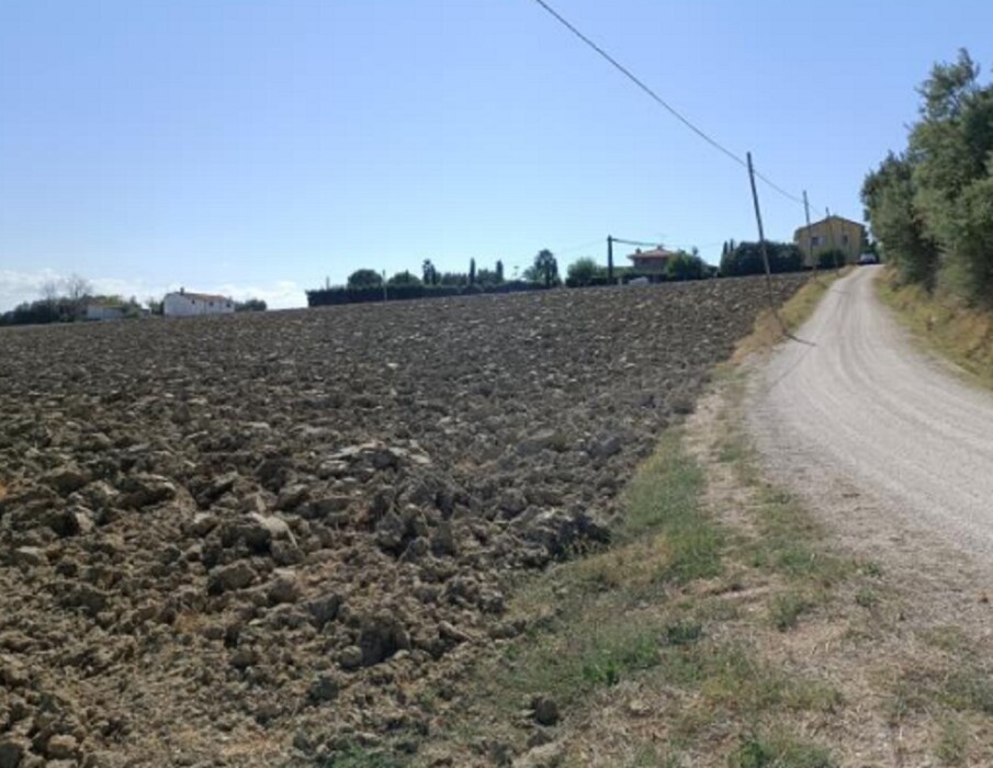Immagine di TERRENO VIA BUONA CESTA MAGGIORE, MONDOLFO (PU)