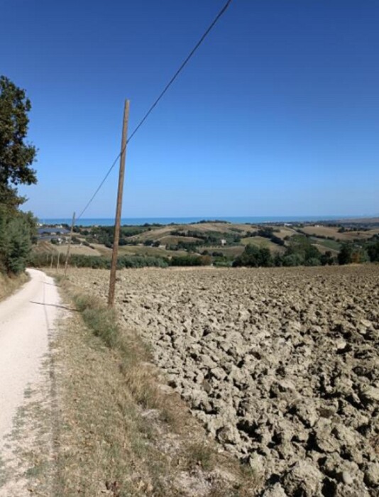 Immagine di TERRENO VIA BUONA CESTA MAGGIORE, MONDOLFO (PU)