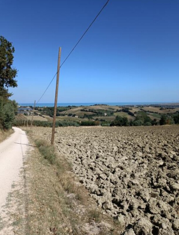 Immagine di TERRENO VIA BUONA CESTA MAGGIORE, MONDOLFO (PU)