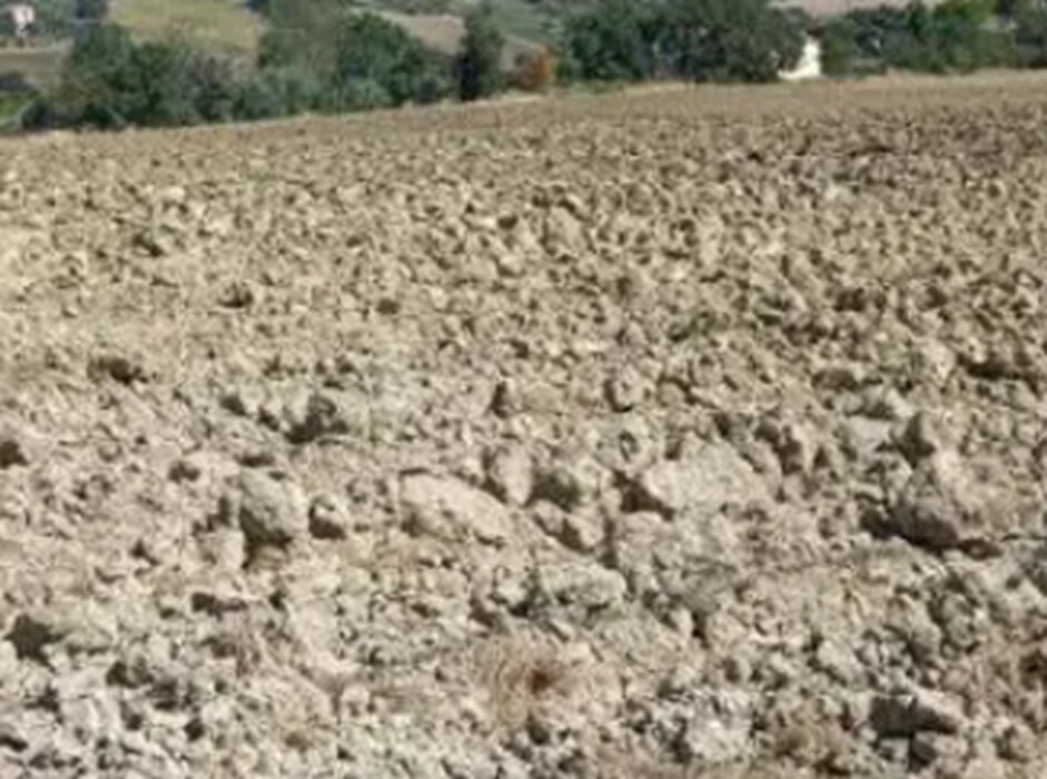 Immagine di TERRENO VIA BUONA CESTA MAGGIORE, MONDOLFO (PU)