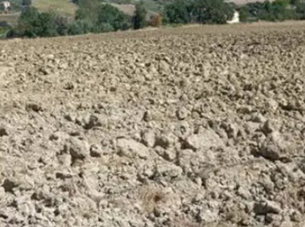 TERRENO VIA BUONA CESTA MAGGIORE, MONDOLFO (PU) — foto 9