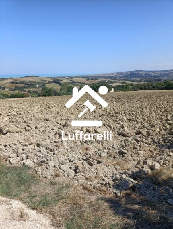 Immagine di TERRENO VIA BUONA CESTA MAGGIORE, MONDOLFO (PU)