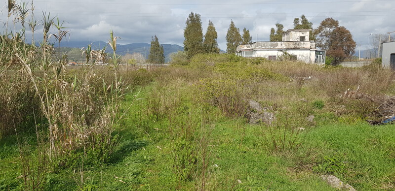Immagine di NEGOZIO O LOCALE COMMERCIALE VIA PARCHI AUSENTE – MINTURNO