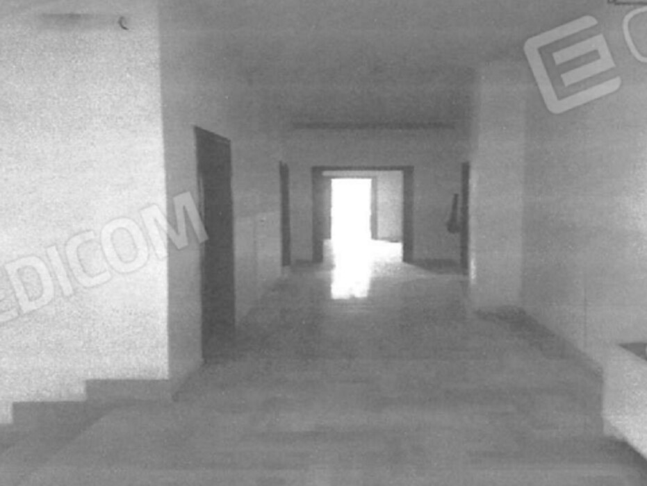 Immagine di CAPANNONE VIA VECCHIA MODUGNO SNC – PALO DEL COLLE