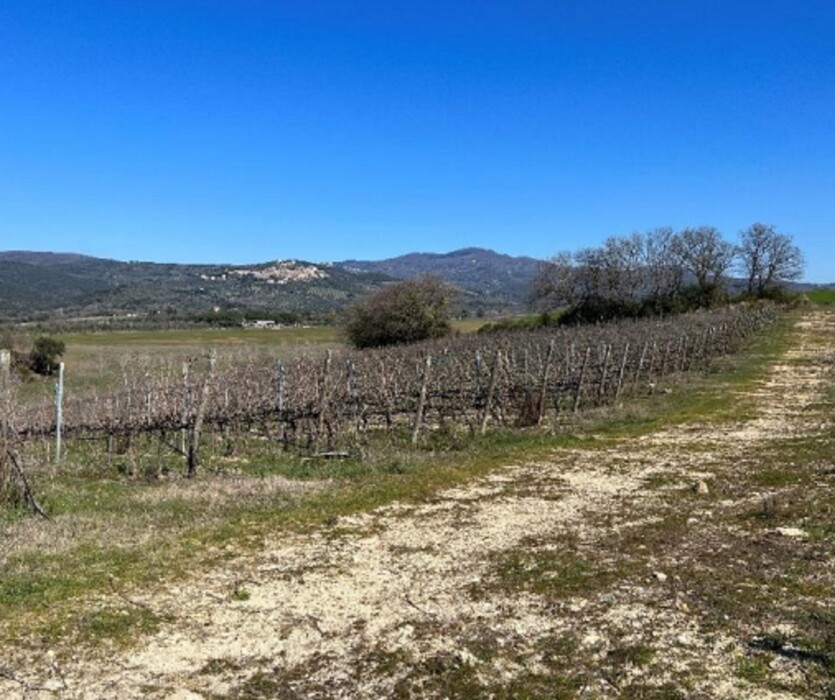 Immagine di STRUTTURE AGRICOLE LOC. CINTOIA – ROCCASTRADA