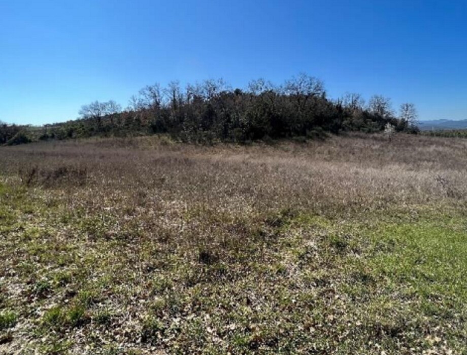 Immagine di STRUTTURE AGRICOLE LOC. CINTOIA – ROCCASTRADA