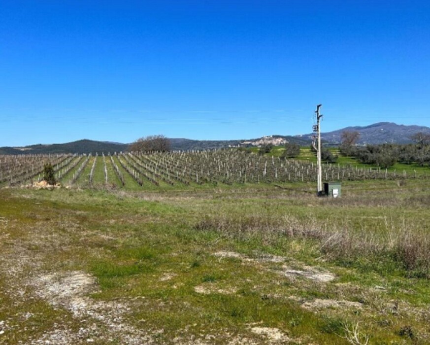 Immagine di STRUTTURE AGRICOLE LOC. CINTOIA – ROCCASTRADA