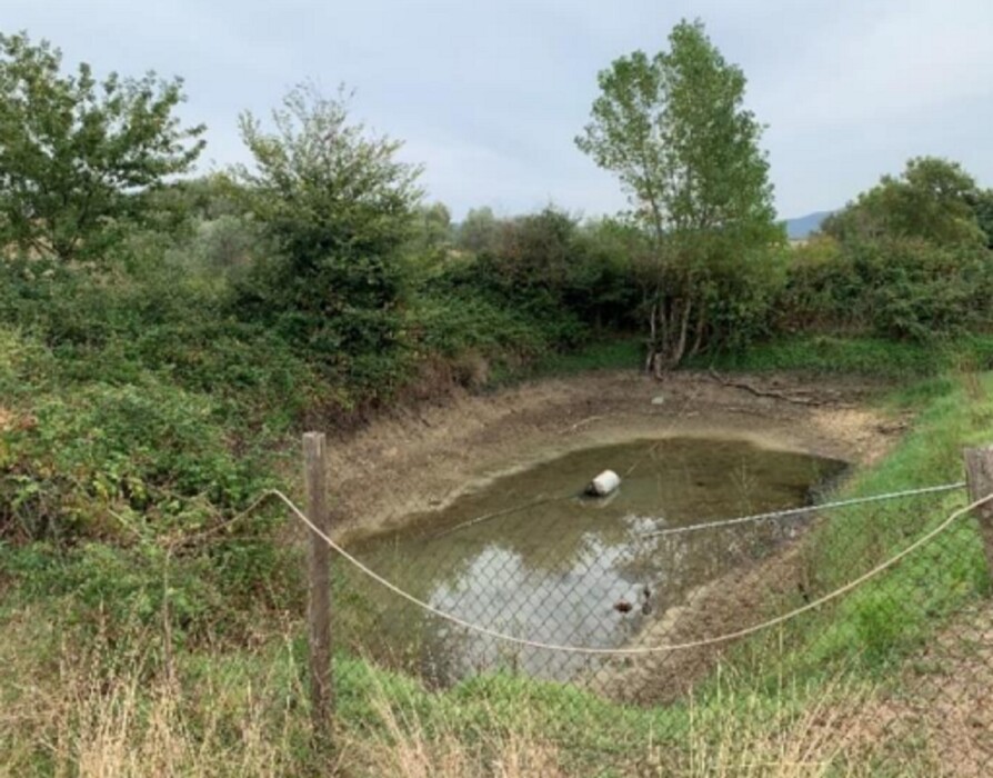 Immagine di STRUTTURE AGRICOLE LOC. CINTOIA – ROCCASTRADA