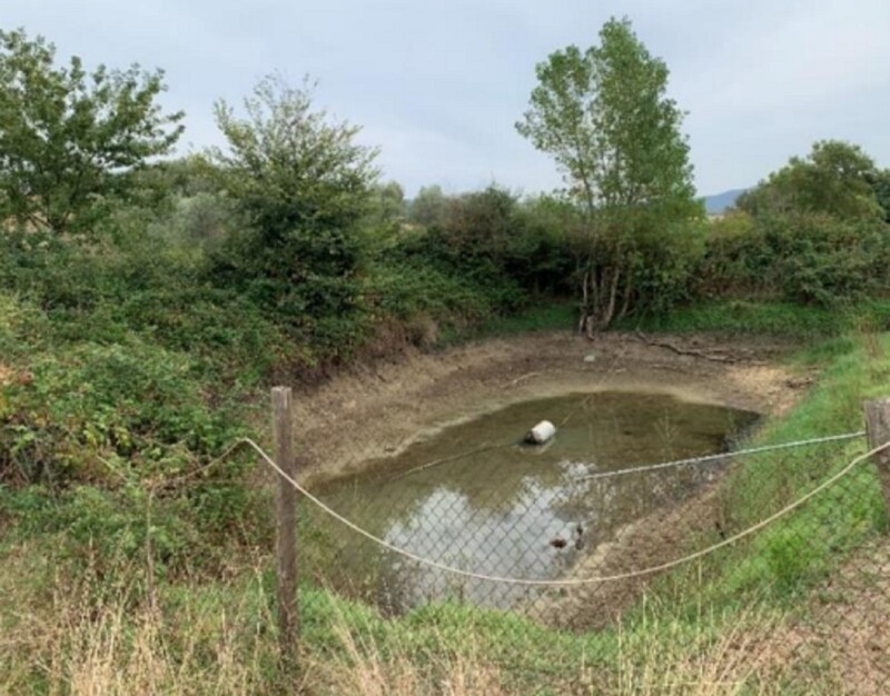 Immagine di STRUTTURE AGRICOLE LOC. CINTOIA – ROCCASTRADA