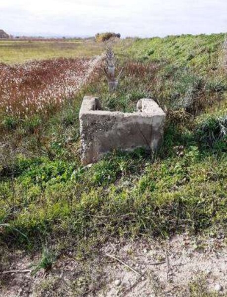 TERRENO VIA GRAN SASSO - SCANZANO JONICO — foto 9