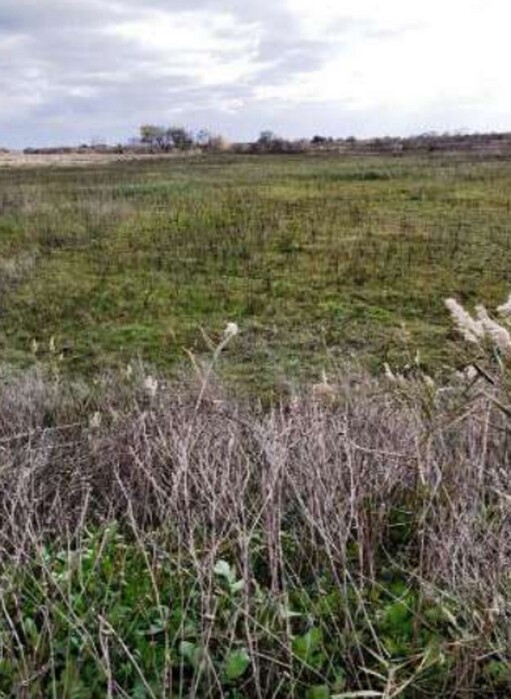 Immagine di TERRENO VIA GRAN SASSO – SCANZANO JONICO