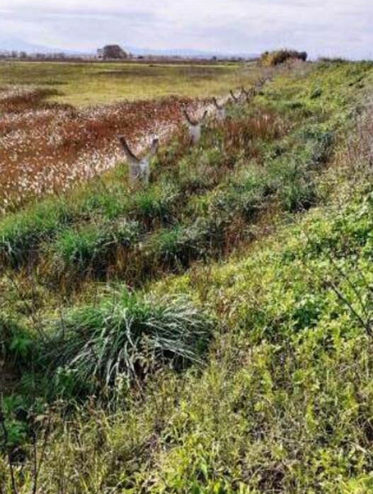 Immagine di TERRENO VIA GRAN SASSO – SCANZANO JONICO