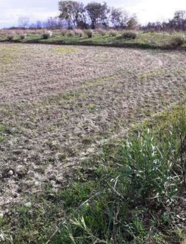 Immagine di TERRENO VIA GRAN  SASSO – SCANZANO JONICO