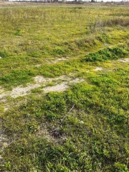 Immagine di TERRENO VIA GRAN SASSO – SCANZANO JONICO
