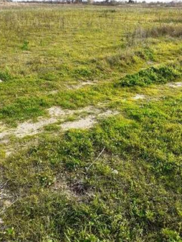 Immagine di TERRENO VIA GRAN  SASSO – SCANZANO JONICO