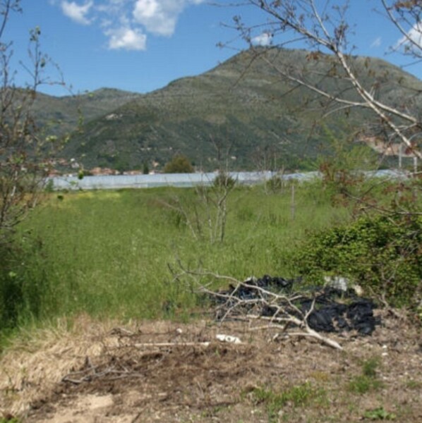 TERRENO LOCALITÀ RENE - FONDI — foto 2